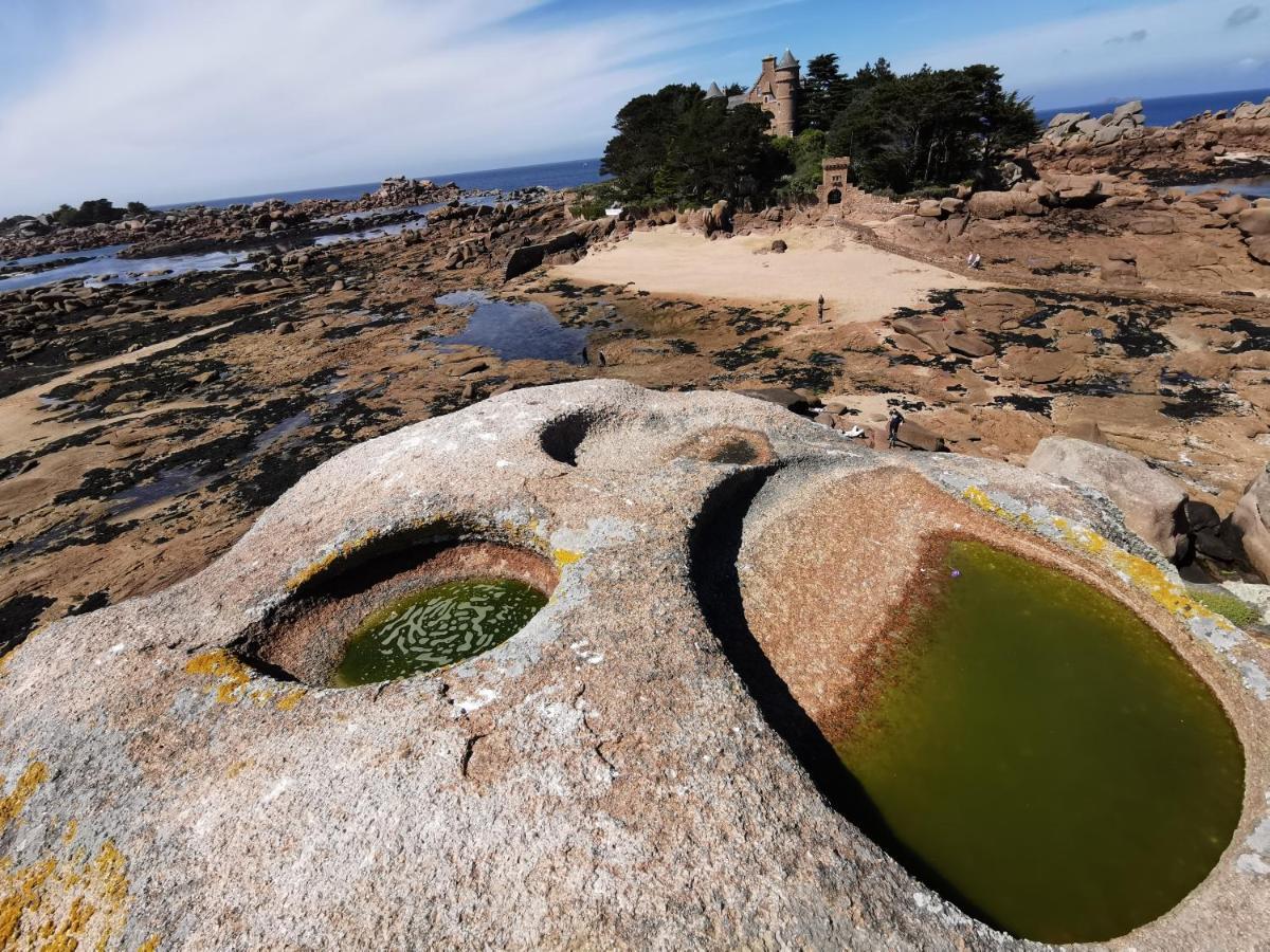 Haut En Couleurs Saint-Quay-Perros 外观 照片
